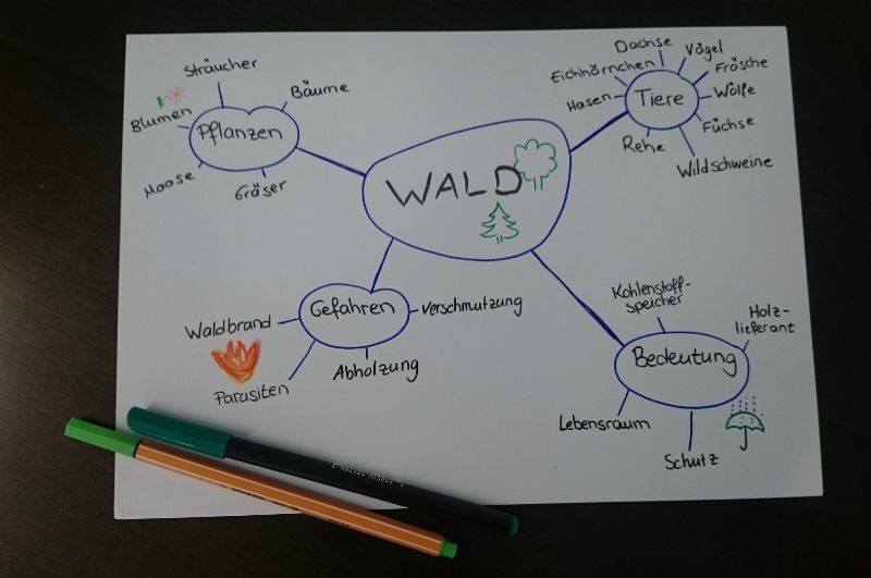 Mindmap wald.jpg